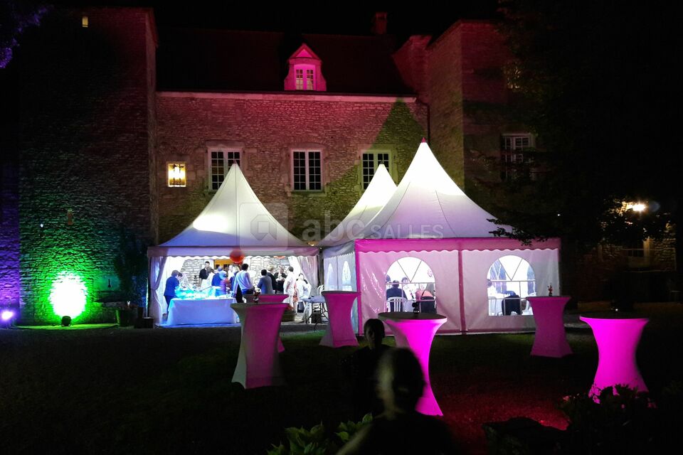 Barnum dans le jardin de nuit