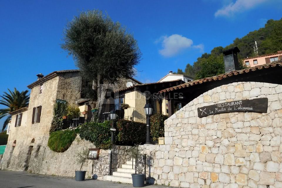 Moulin de l'Oliveraie