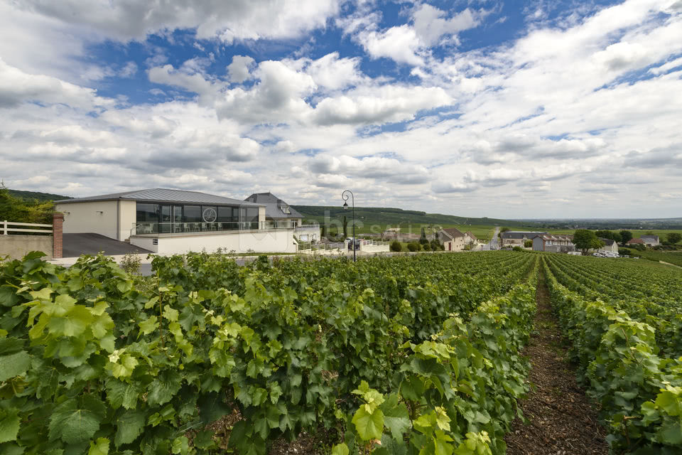 Salle l'Effervescence