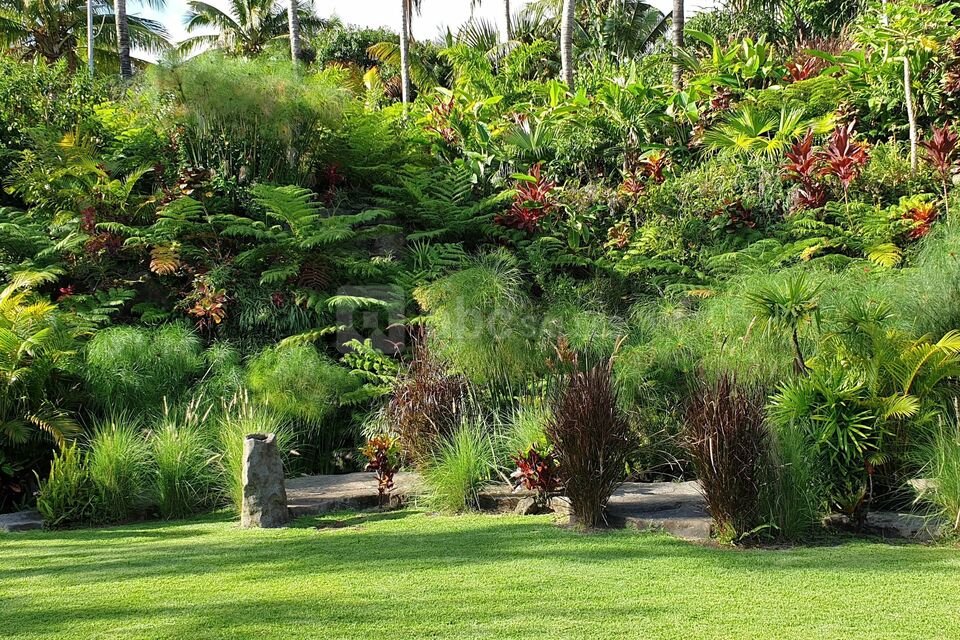 Domaine des Mille Cocos