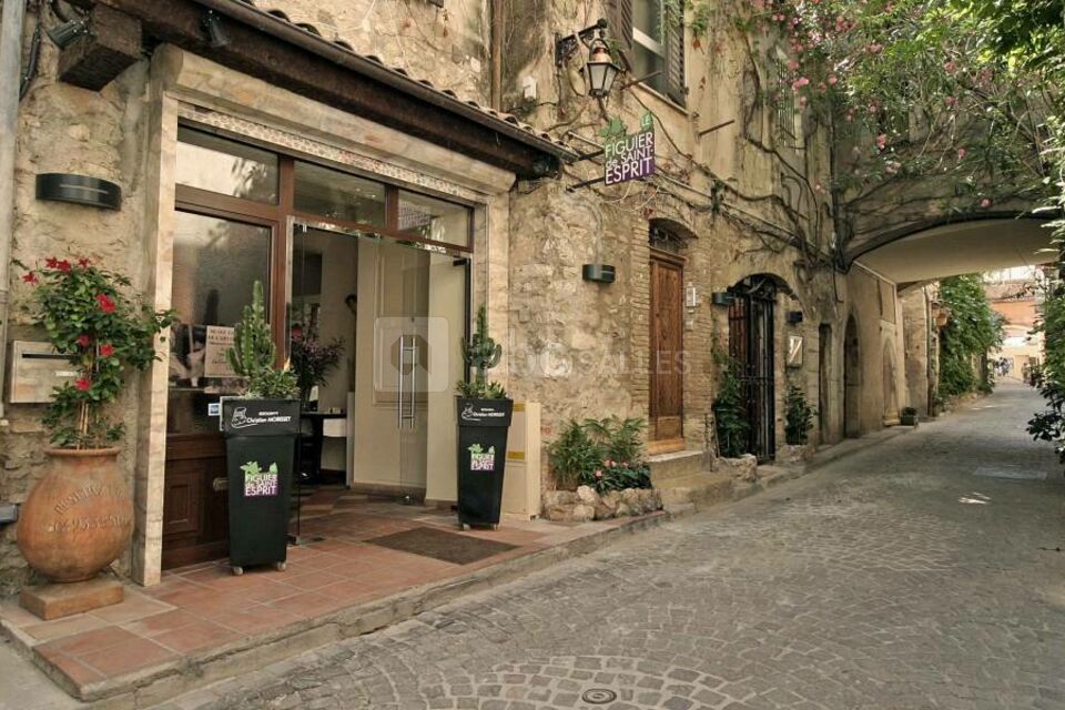 Le Figuier Saint Esprit