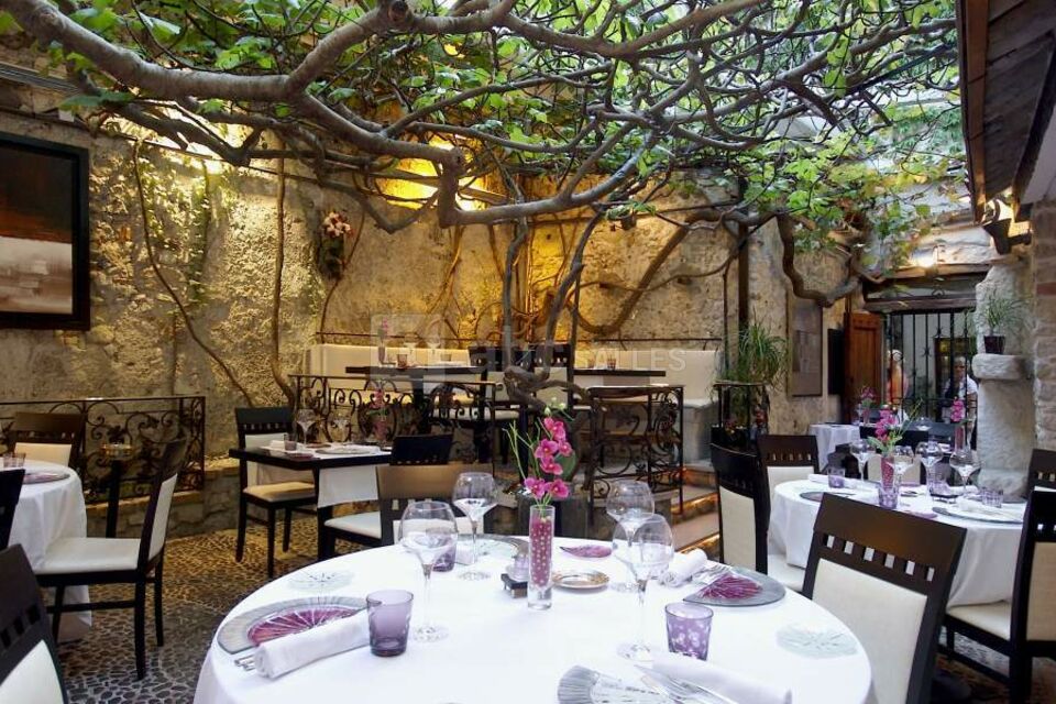 Le Figuier Saint Esprit