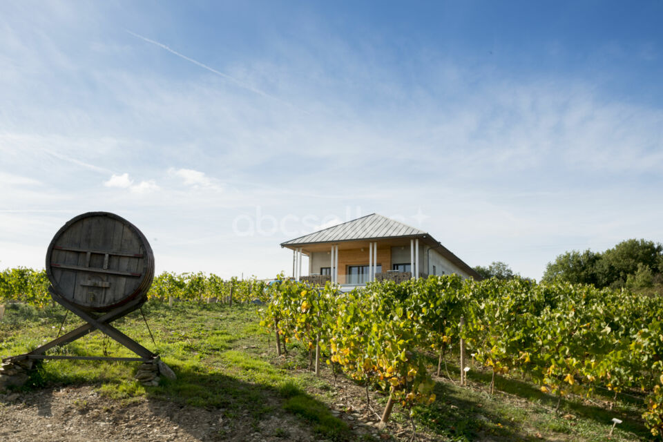 Vignoble Marchais