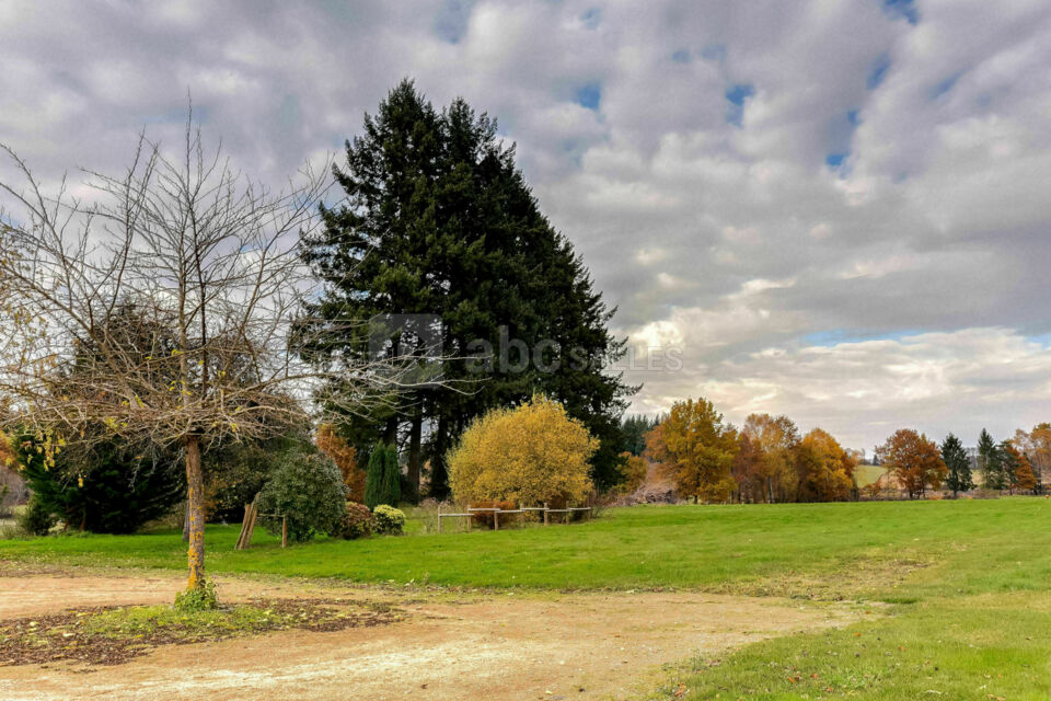 Domaine de la Graffouillère (La Dame de Coeur)