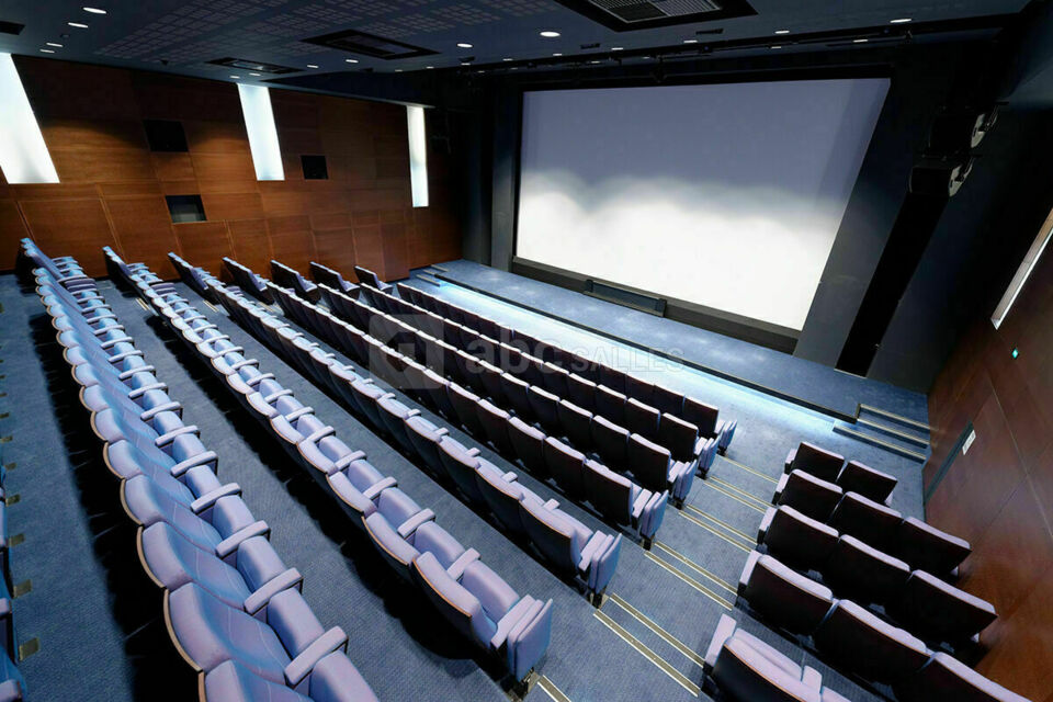 La Cinémathèque Française