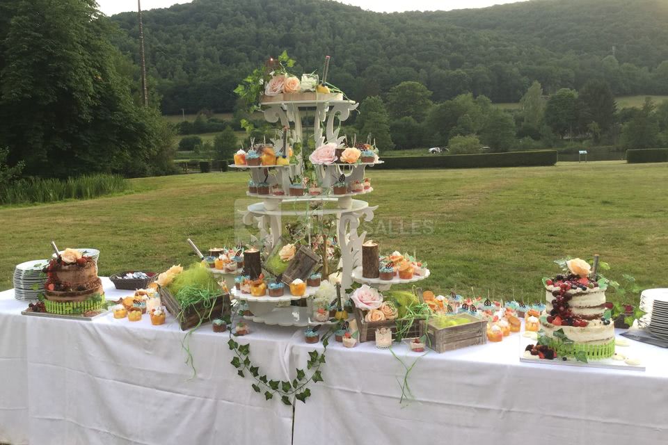 Vin d'honneur - devant le chateau