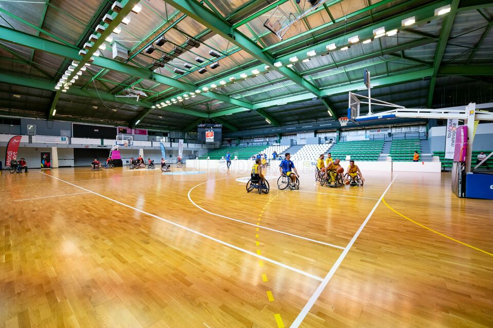 Handisport