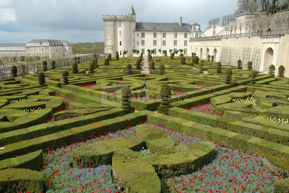 Le jardin d'ornement avril 2012