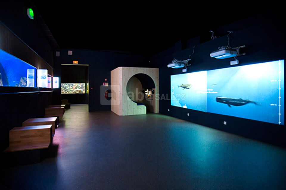 Museum-Aquarium