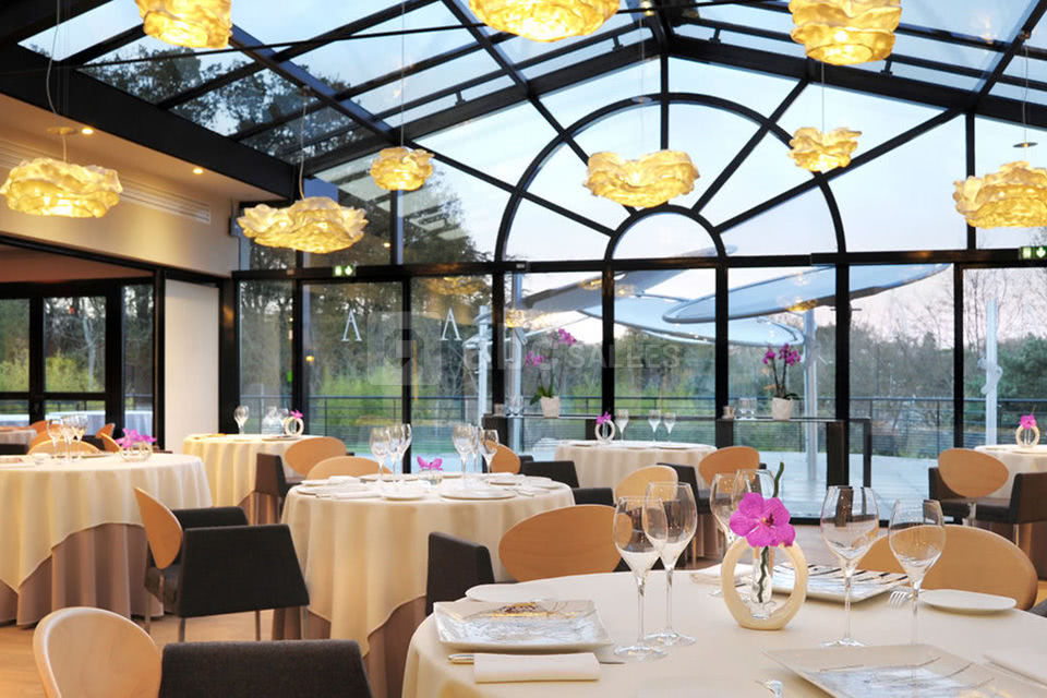 Des roses et des orties