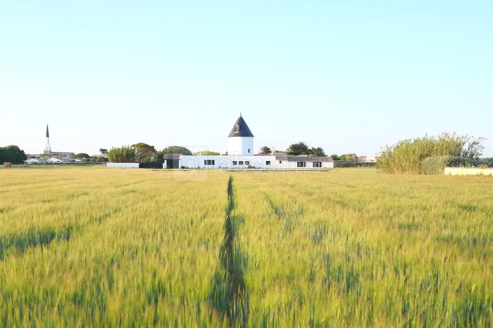 Le Moulin de l'Hôtel Le Sénéchal