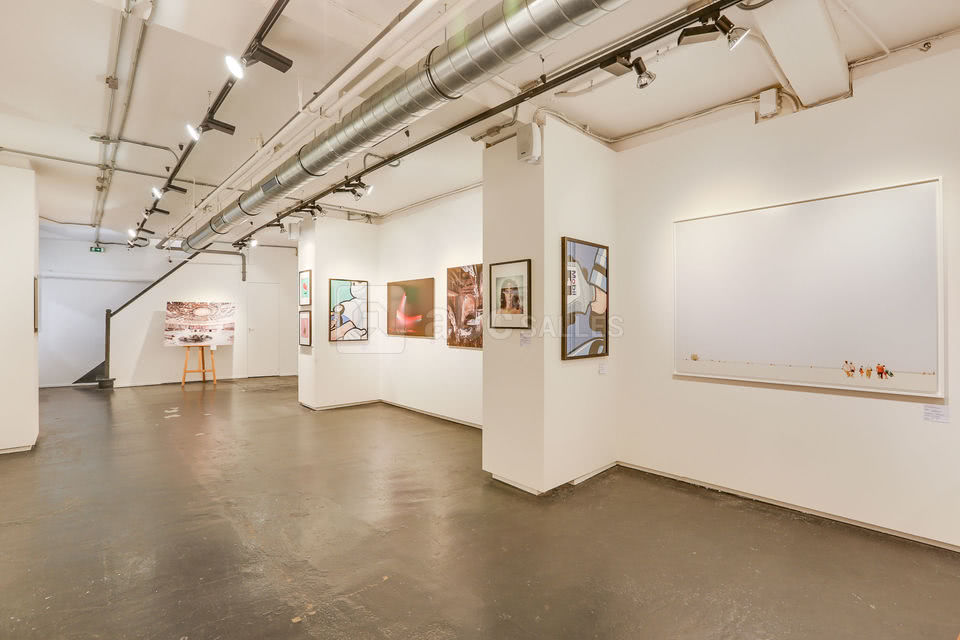 Galerie Sakura