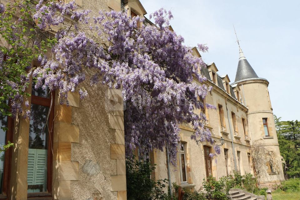 Château de la Pierre