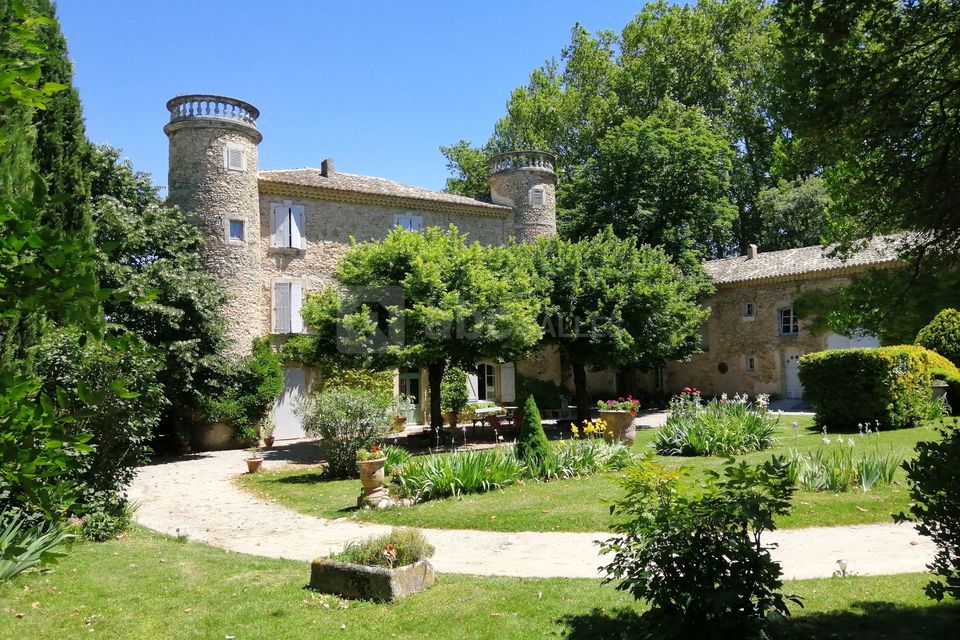La cour du château