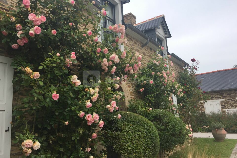 Nos Rosiers en Fleurs