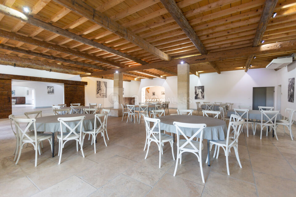 Domaine Le Sauvage