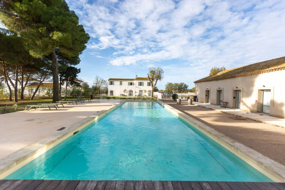 Domaine Le Sauvage