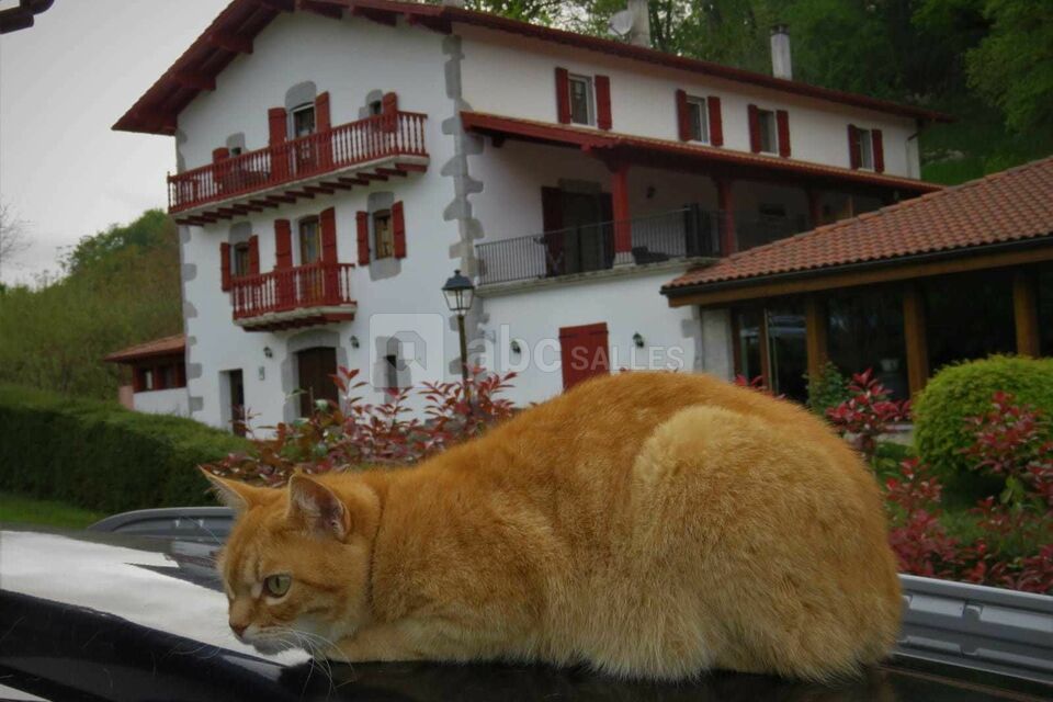 Ikaburua