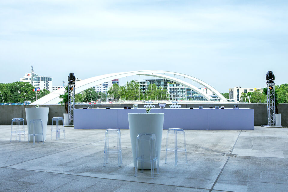 Musée des Confluences