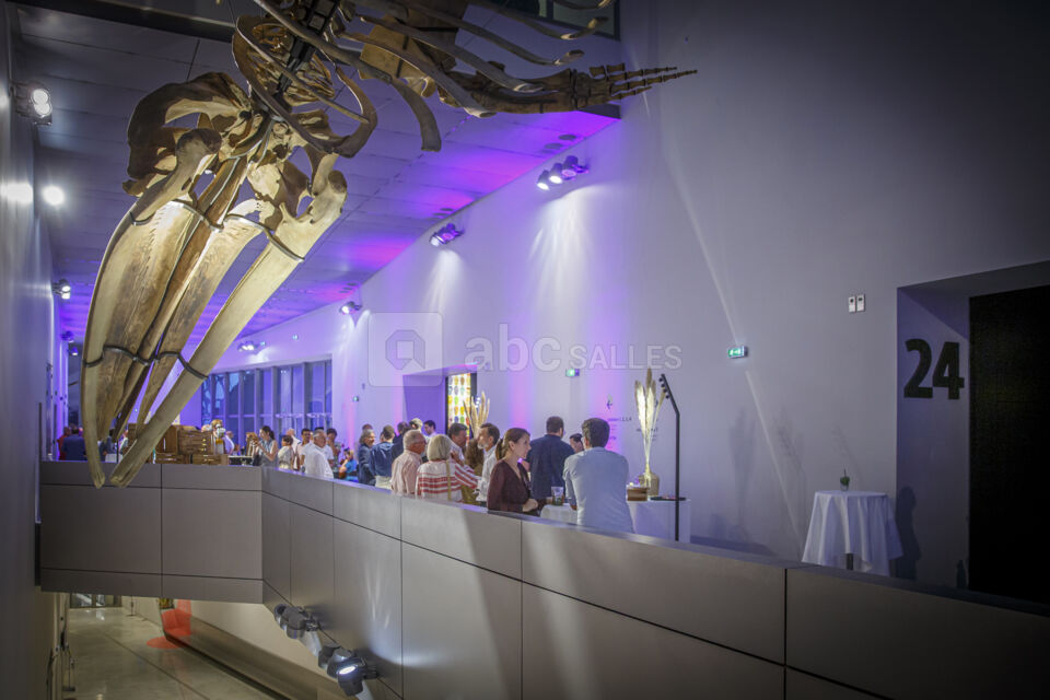 Musée des Confluences