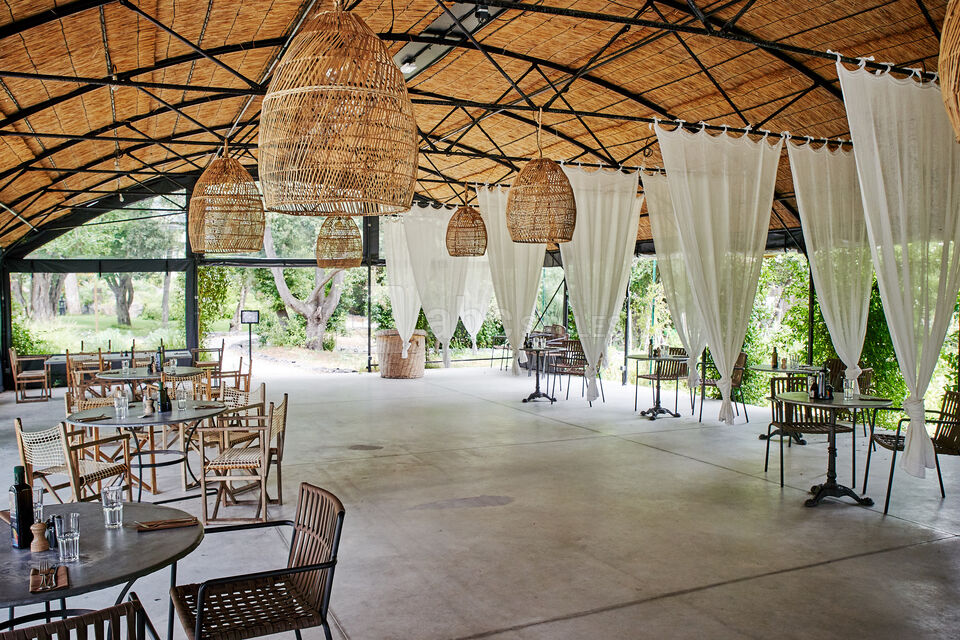 Domaine Tarbouriech