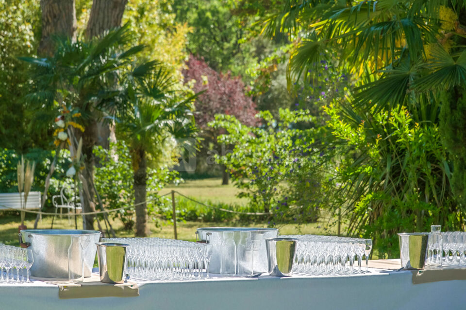 Vin d'honneur dans le parc