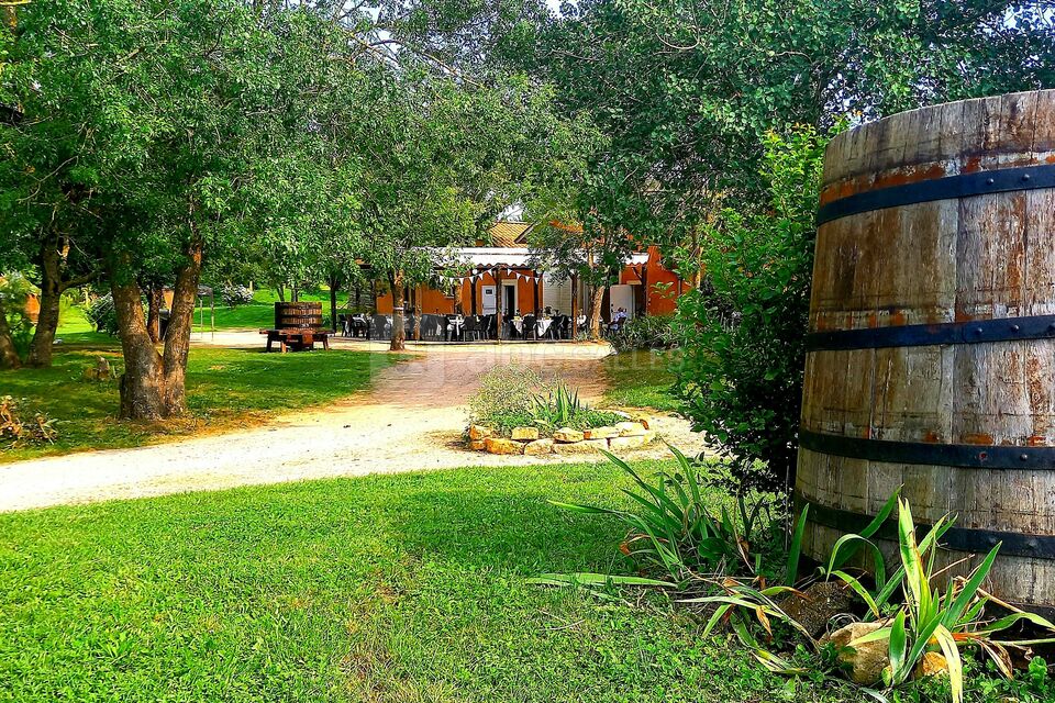 Domaine de l'Eolienne
