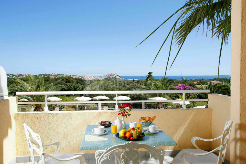 Hôtel Restaurant Corsica & Serena SPA