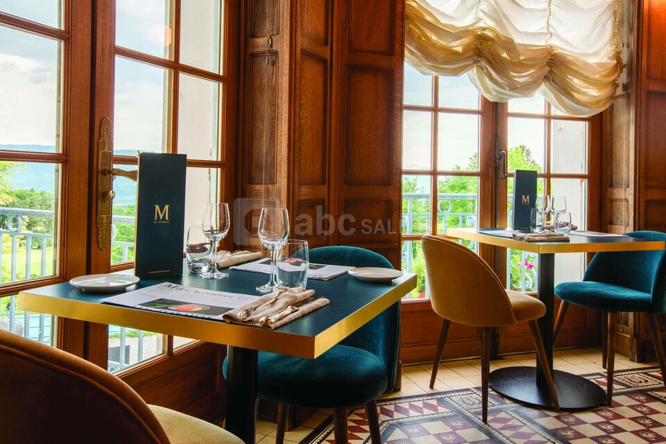 Château des Aveniéres