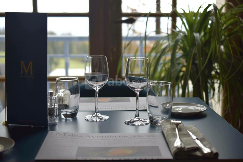 Château des Aveniéres