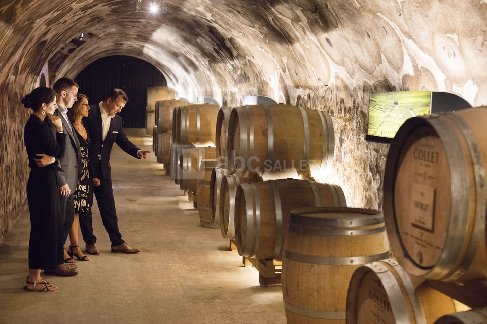 Visite de cave