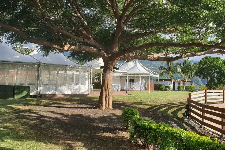 Domaine des Palmiers
