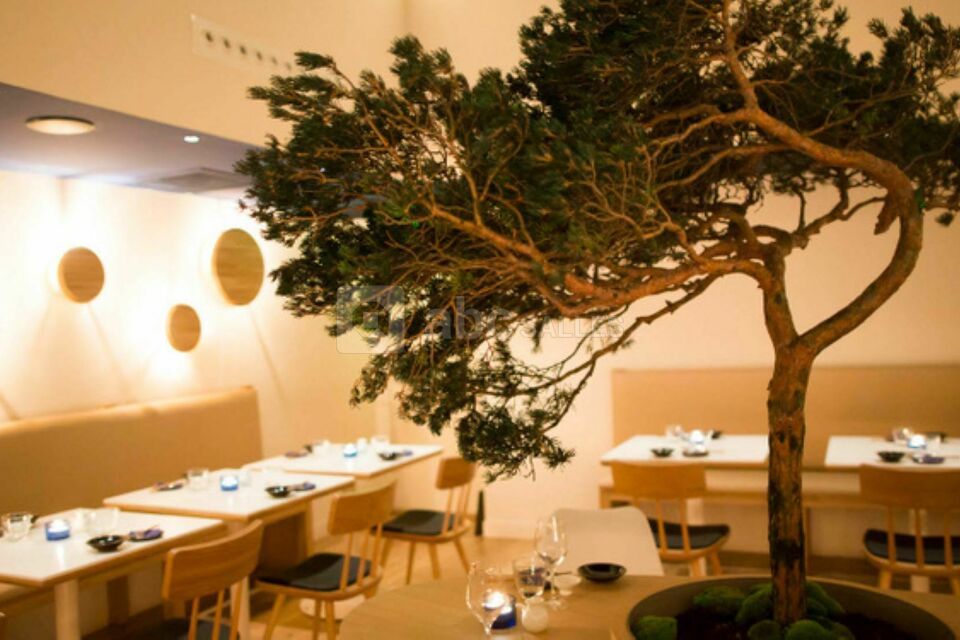 Maison du Saké ABC Salles