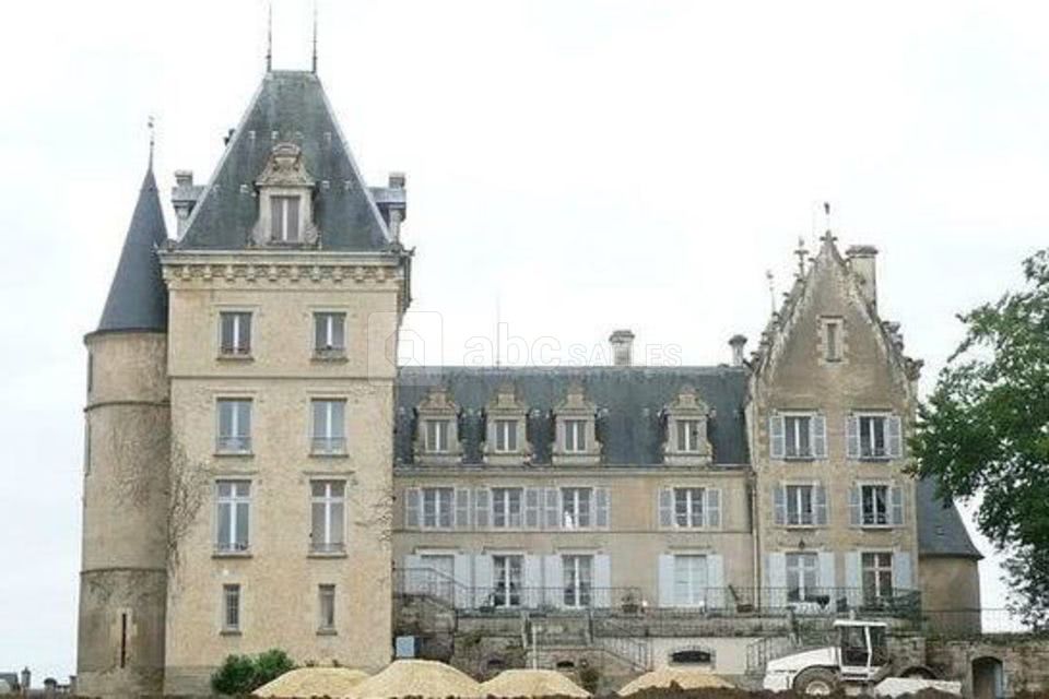 Château de Blet