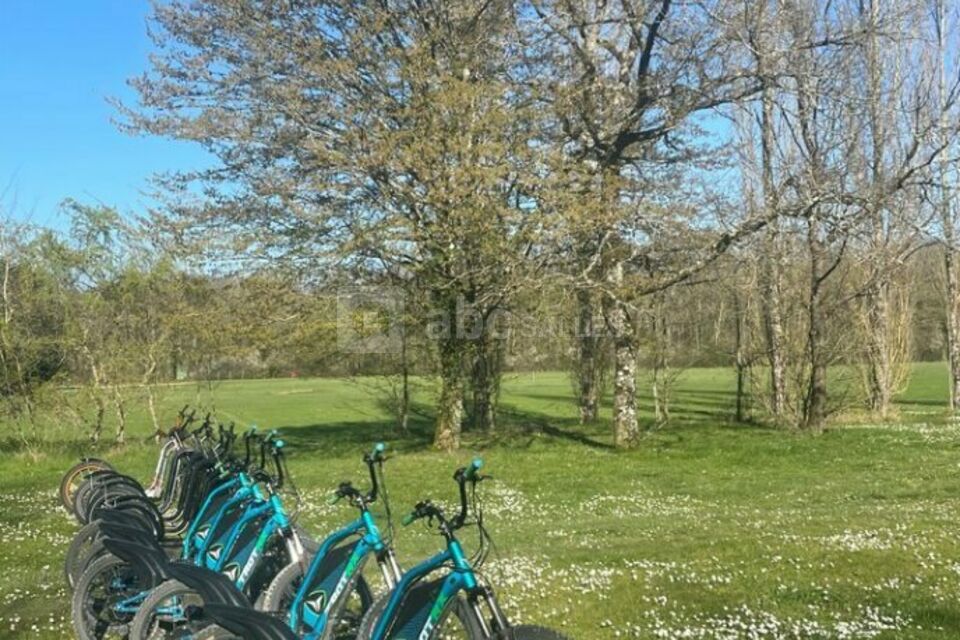 Activité trottinette électrique pour un groupe
