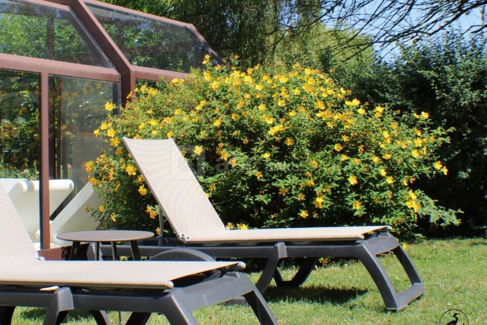Le jardin de notre piscine