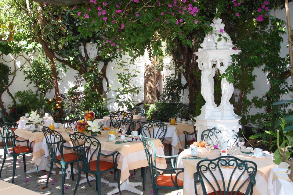 Le Magnolia