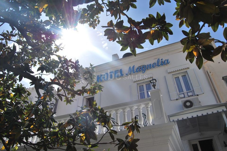 Le Magnolia