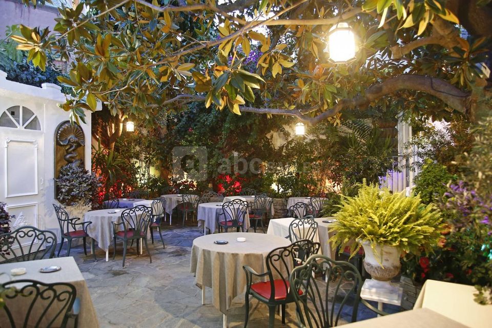 Le Magnolia