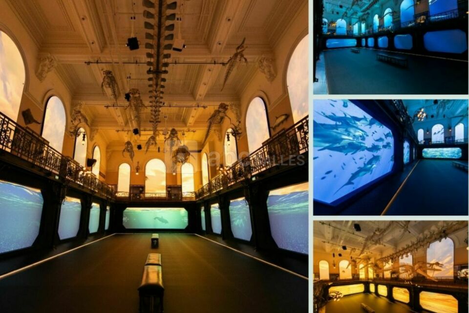 Musée océanographique de Monaco