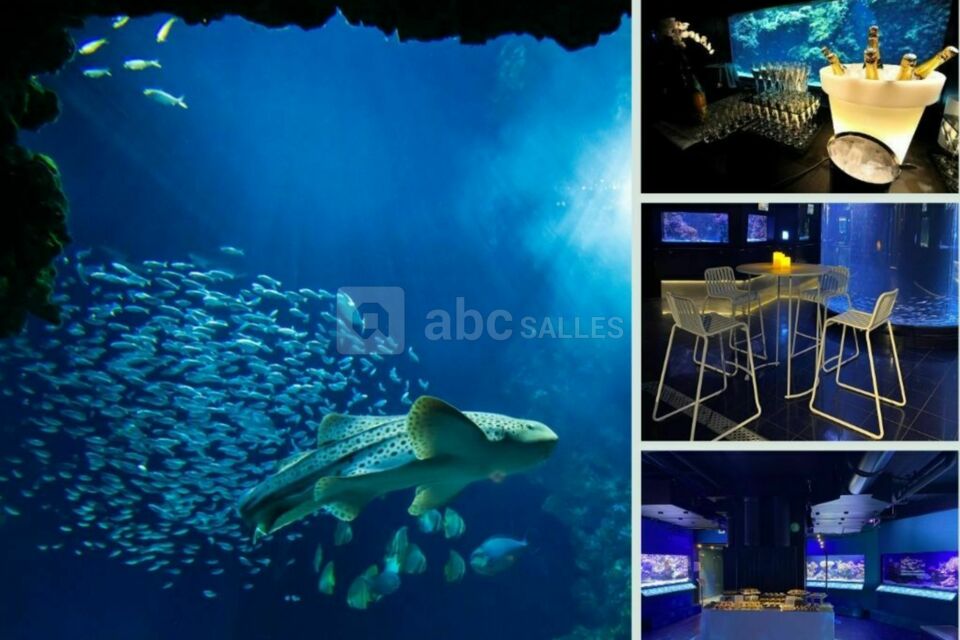 Aquariums