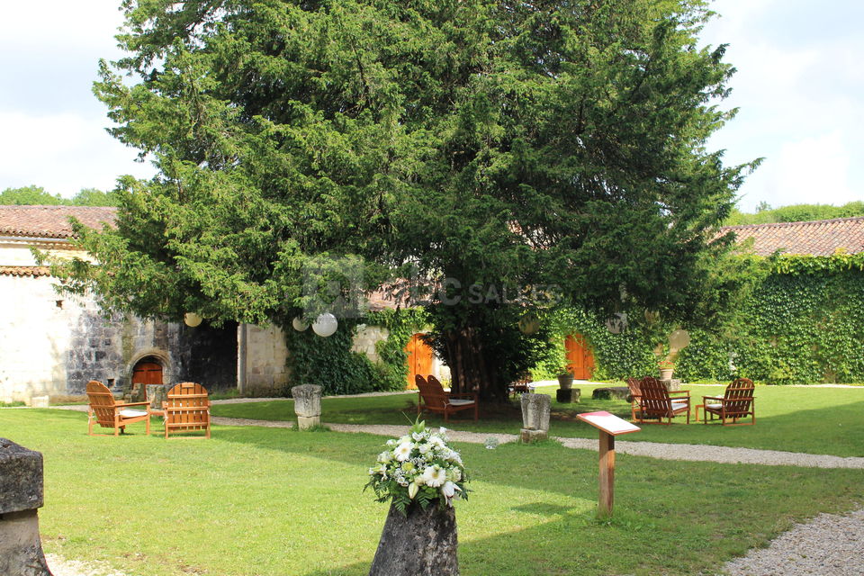 Espace cocktail sous le vieil if