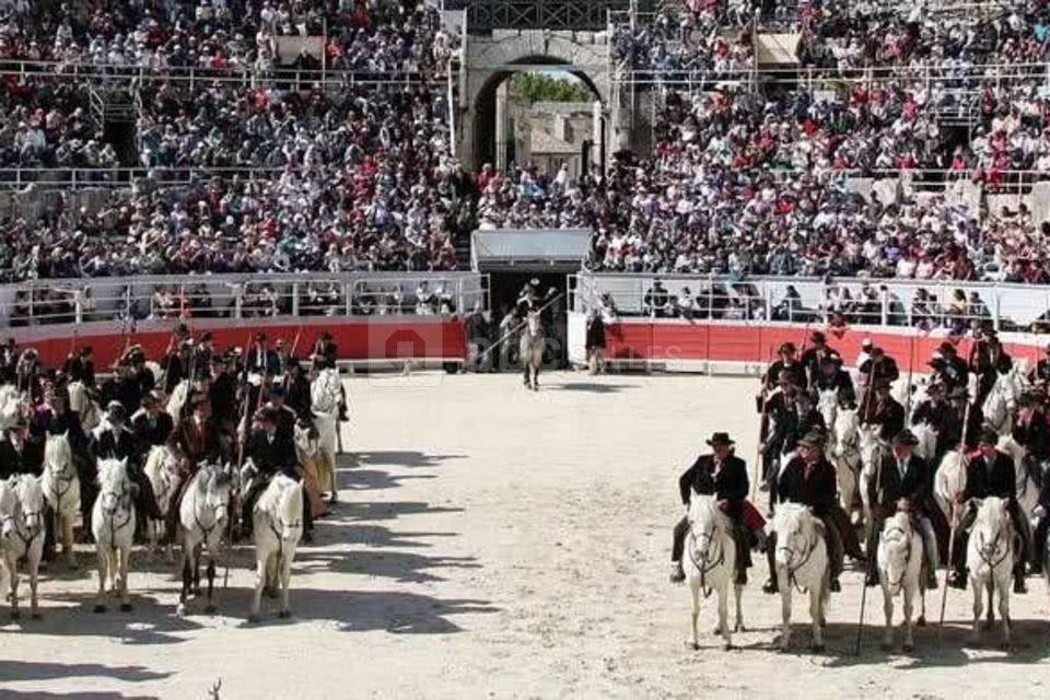 Arenes d'Arles