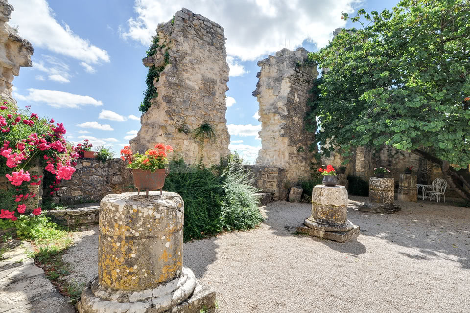 Château de Roussillon