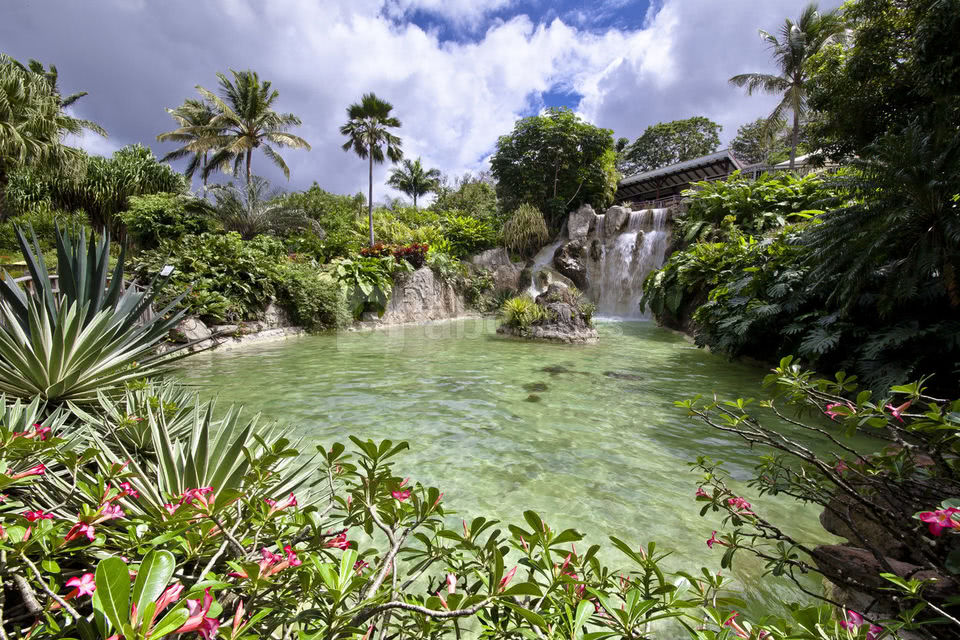 Jardin Botanique de Deshaies Villers