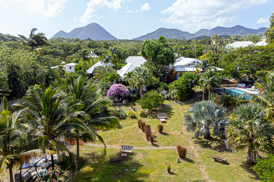 Domaine de la Palmeraie