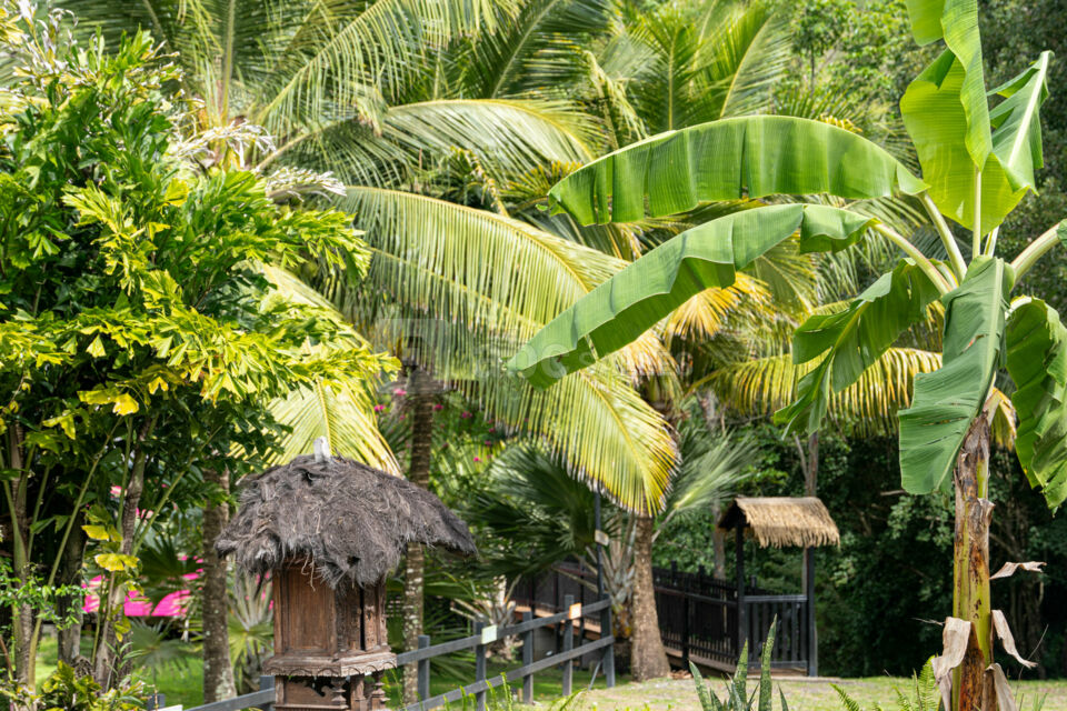 Domaine de la Palmeraie