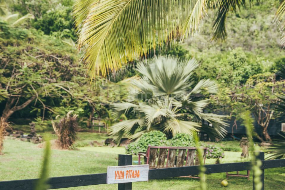 Domaine de la Palmeraie