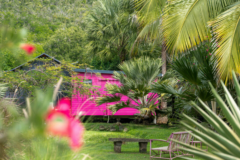 Domaine de la Palmeraie