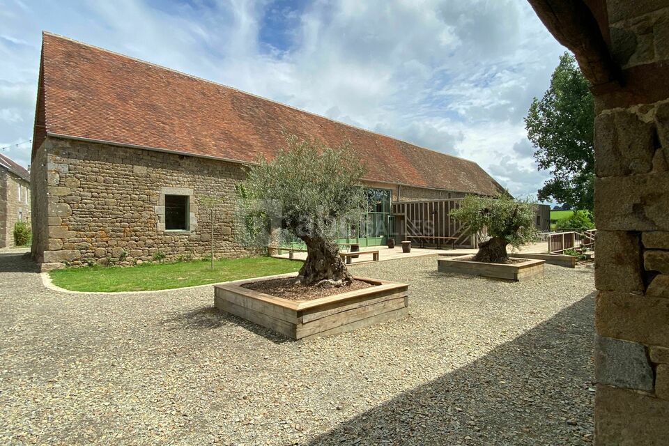 Bancs d'oliviers